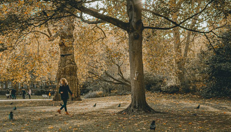 Que faire à Londres avec — enfants jouant dans un parc à Londres