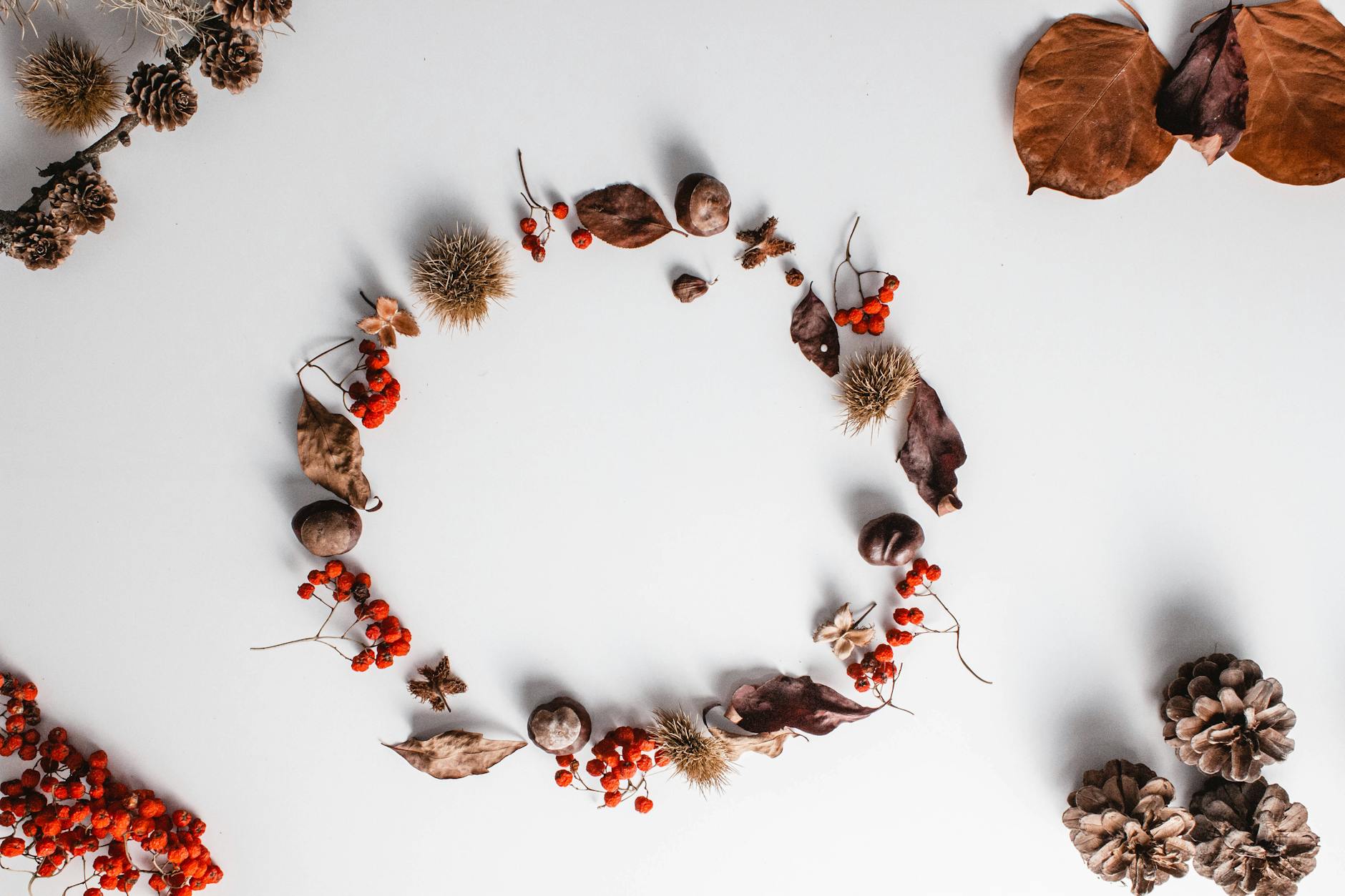 Pommes de pin et déco automnale naturelle : créer un cocon sans se ruiner — idées de décoration automnale avec pommes de pin