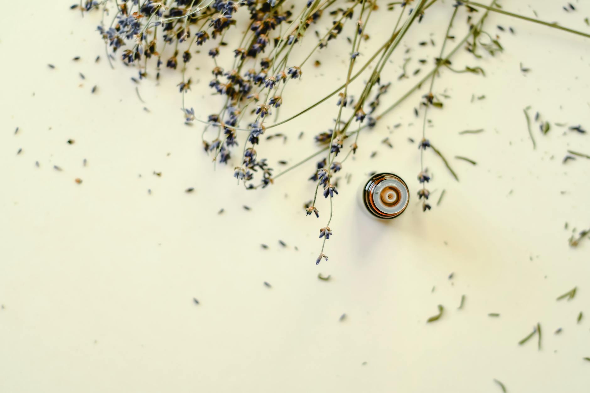 Huiles essentielles anti-stress et anxiĂ©té : comprendre leur action avant de les choisir â huiles essentielles stress anxiĂ©tĂ© relaxation