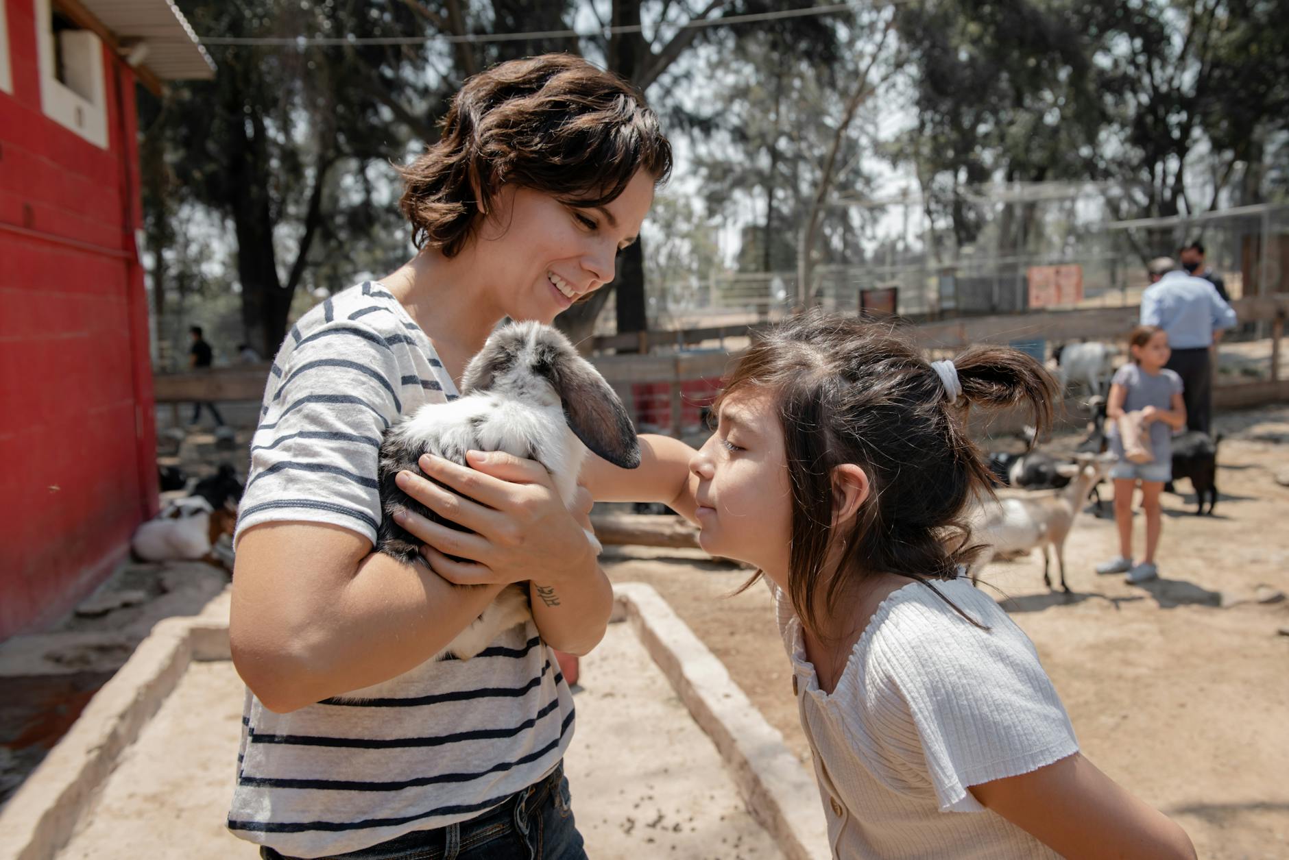 Touroparc : avis, ambiance générale et pour quel type de famille — zoo animaux famille amusante