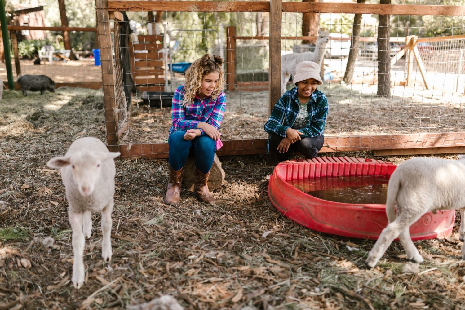 6 fermes pédagogiques à Toulouse à visiter en famille