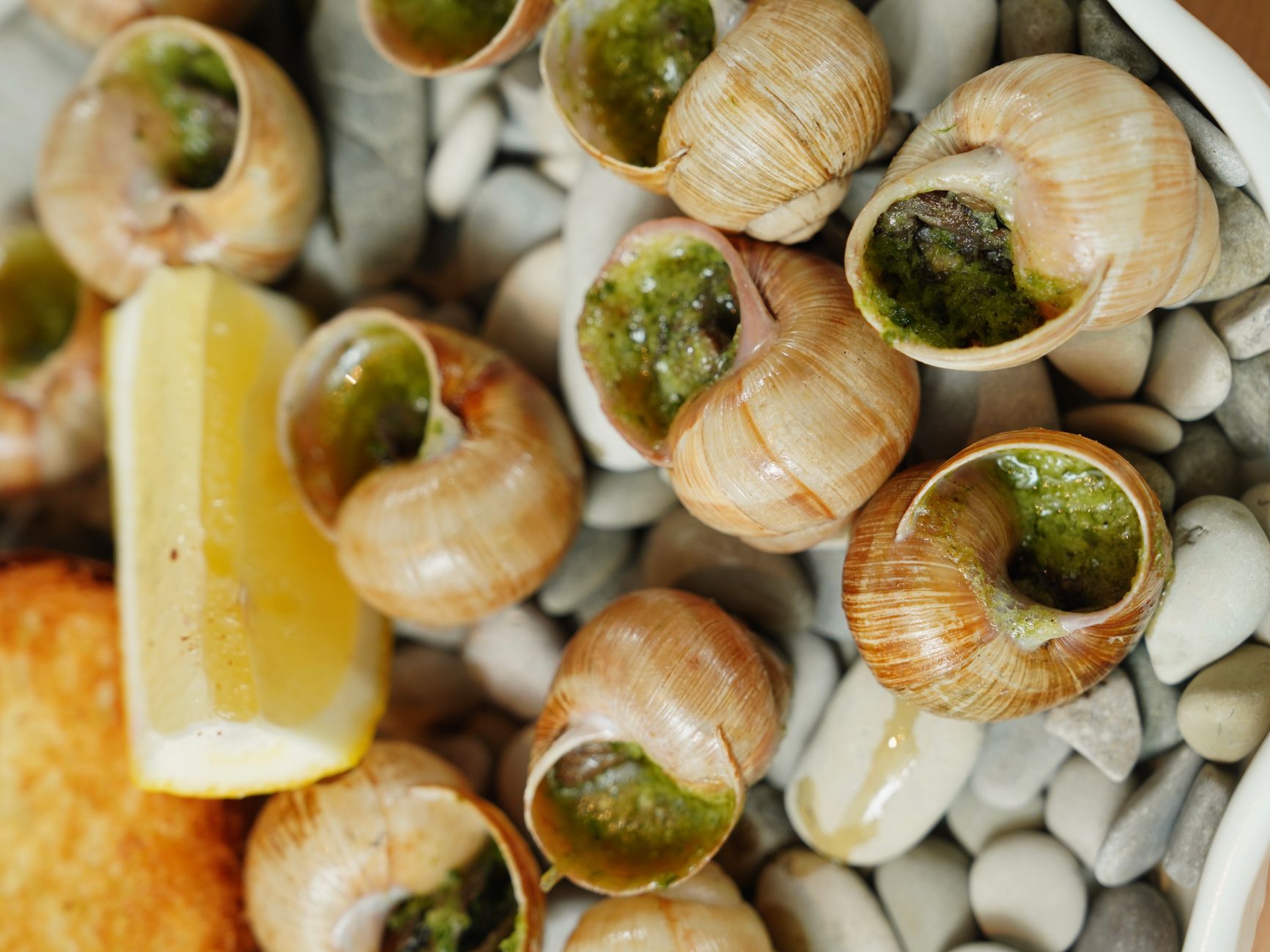 Escargots et grossesse : ce qui est réellement autorisé ou non — escargots cuisinés au beurre à l'ail